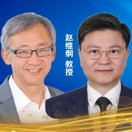 对话IDF：中外专家共话胰岛素周制剂的创新、循证与实践