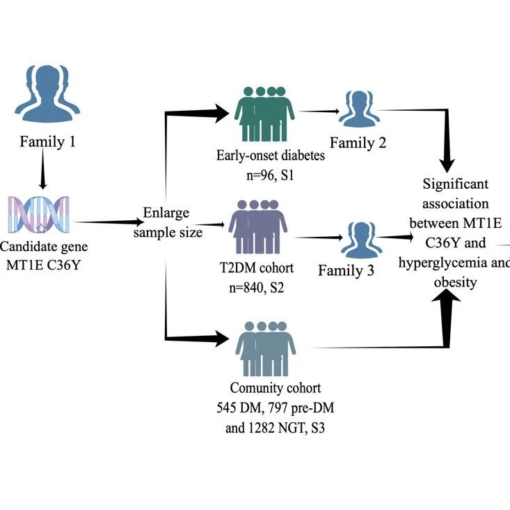 Diabetes Care发布北大人民医院纪立农/韩学尧团队最新成果：从临床表型到模型验证，MT1E在糖尿病发病中的作用机制
