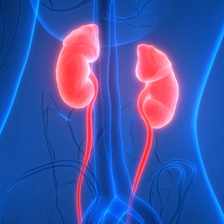 随访24个月：甲状腺功能会影响T2DM患者的血糖水平及肾功能吗？