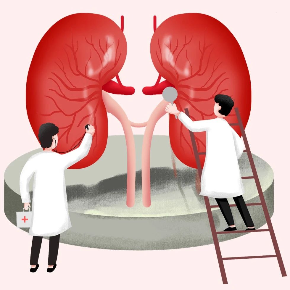 聚焦《非奈利酮在糖尿病合并慢性肾脏病患者中应用的中国专家共识（2023版）》，带您了解共识精髓