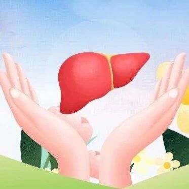 1型糖尿病是否增加肝脏脂肪负担？